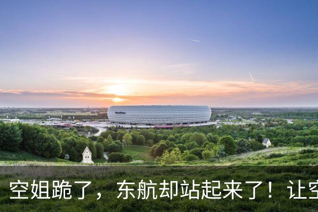空姐跪了，东航却站起来了！让空姐下跪的男子，终于付出代价